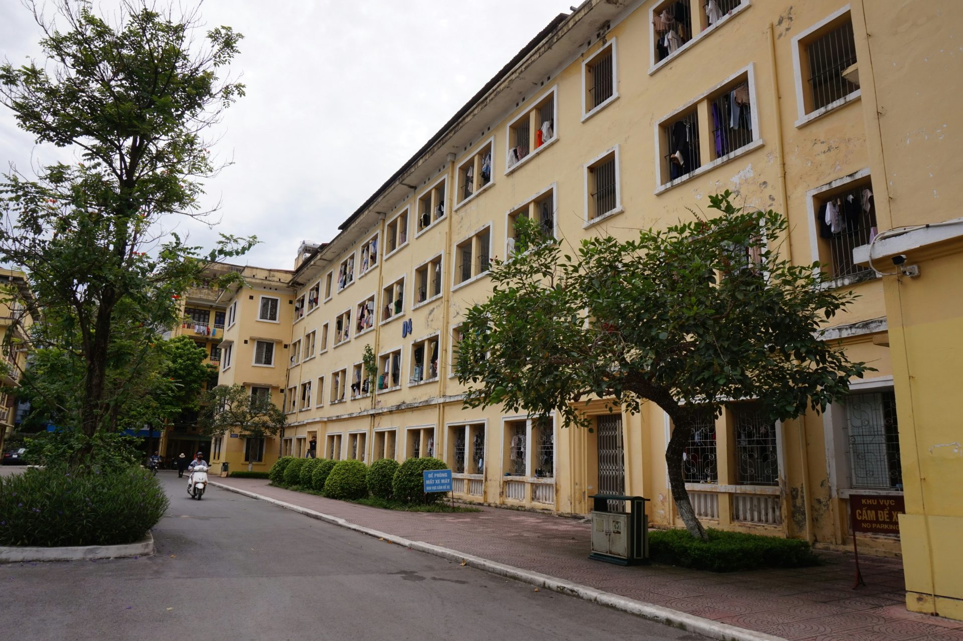 A yellow building with a tree in front of it